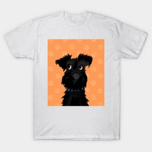 Black Miniature Schnauzer Dog with Orange Daisies T-Shirt